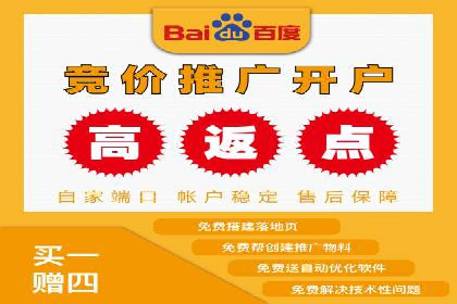 如何利用百度竞价代理：真实案例分析